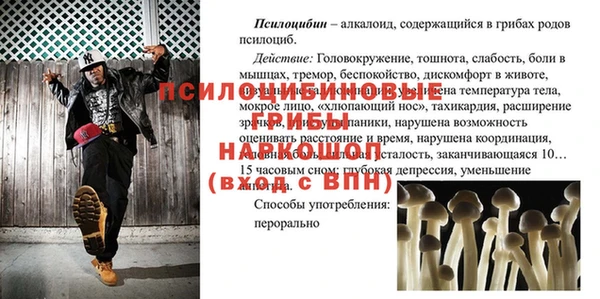 ешки Арсеньев