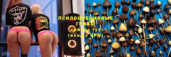 винт Армянск