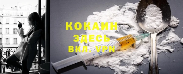 ешки Арсеньев