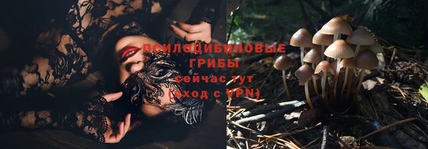 винт Армянск