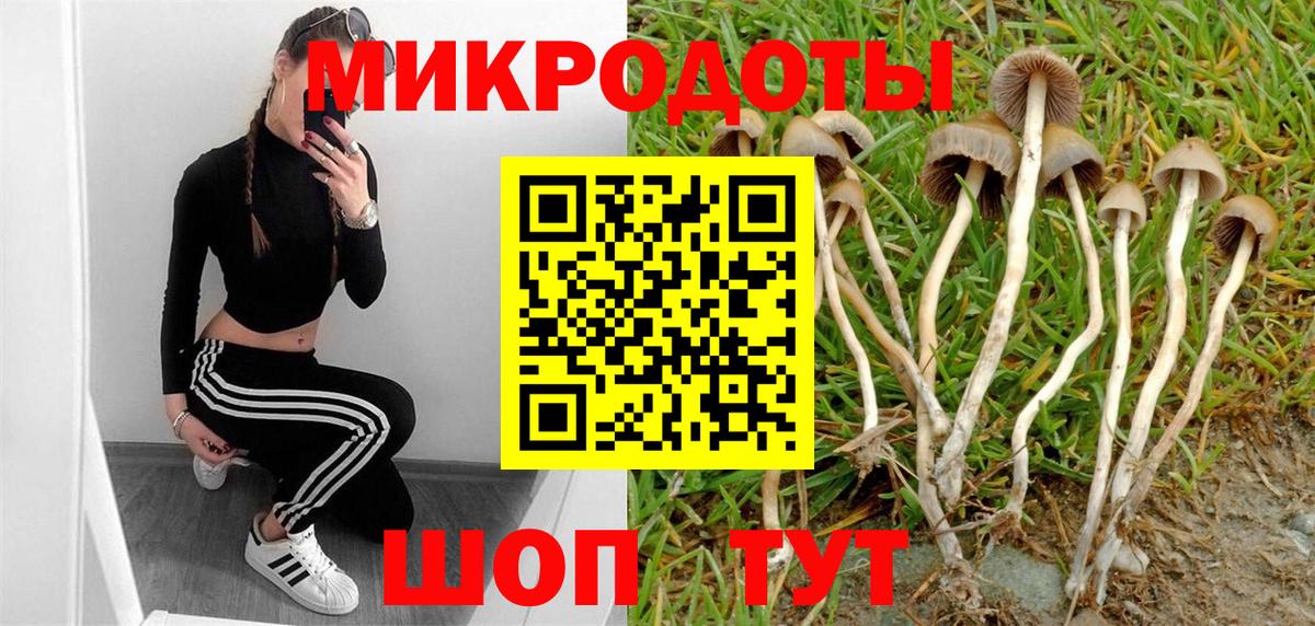 магазин продажи   Псилоцибиновые грибы GOLDEN TEACHER  Вход с VPN  Курган 