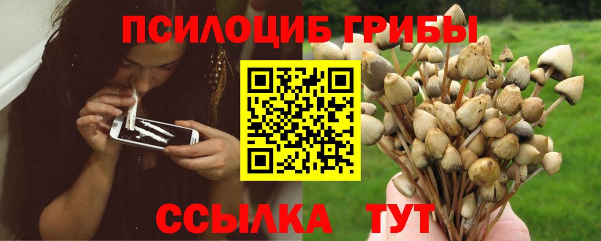 Галлюциногенные грибы мухоморы Курган