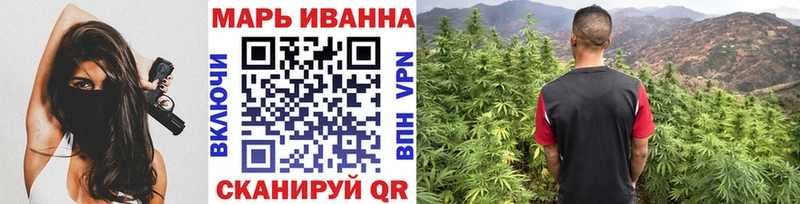 kraken сайт  Курган  Шишки марихуана семена 